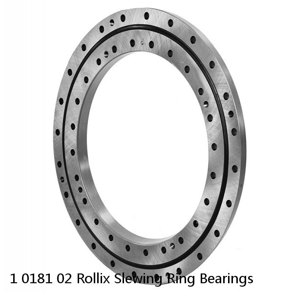 1 0181 02 Rollix Slewing Ring Bearings