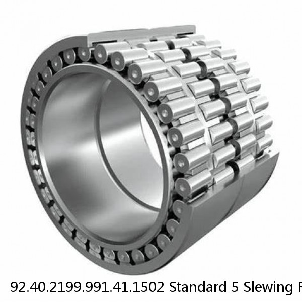 92.40.2199.991.41.1502 Standard 5 Slewing Ring Bearings