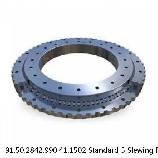 91.50.2842.990.41.1502 Standard 5 Slewing Ring Bearings