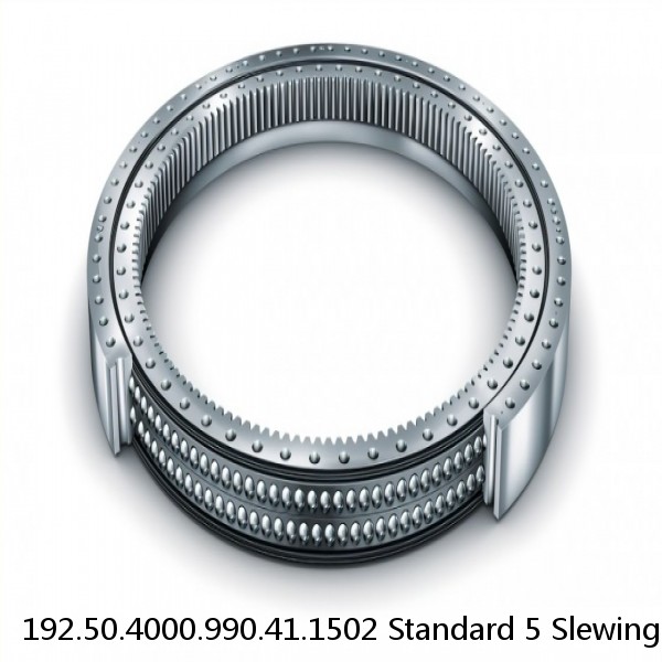 192.50.4000.990.41.1502 Standard 5 Slewing Ring Bearings