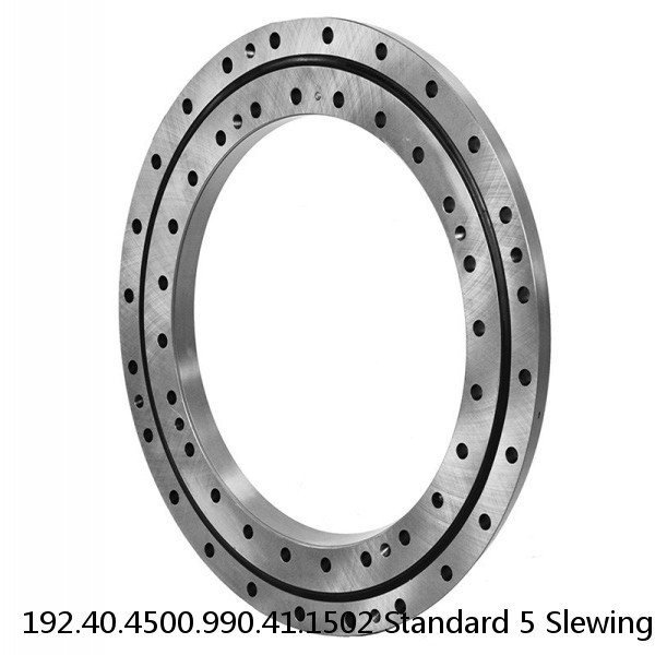 192.40.4500.990.41.1502 Standard 5 Slewing Ring Bearings