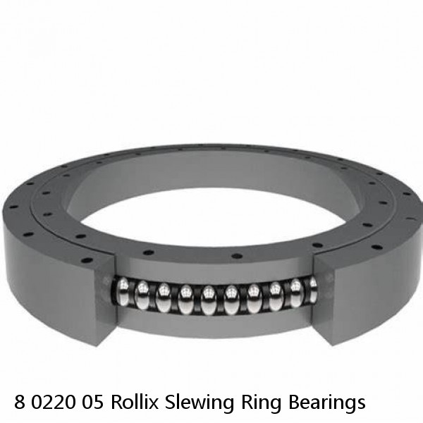 8 0220 05 Rollix Slewing Ring Bearings