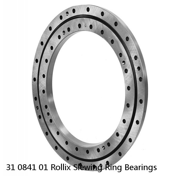 31 0841 01 Rollix Slewing Ring Bearings