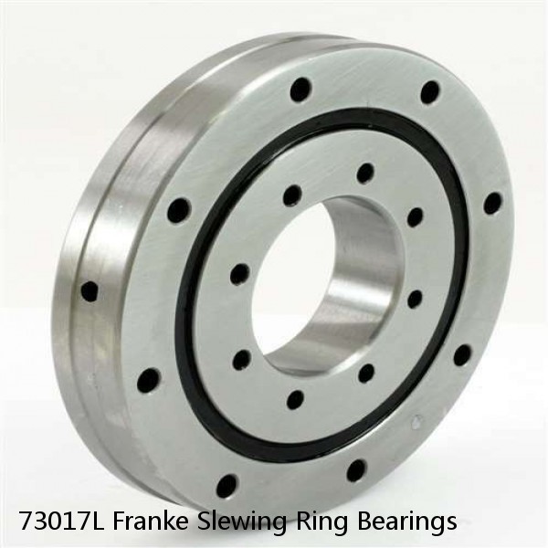 73017L Franke Slewing Ring Bearings