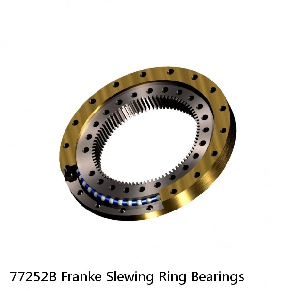 77252B Franke Slewing Ring Bearings