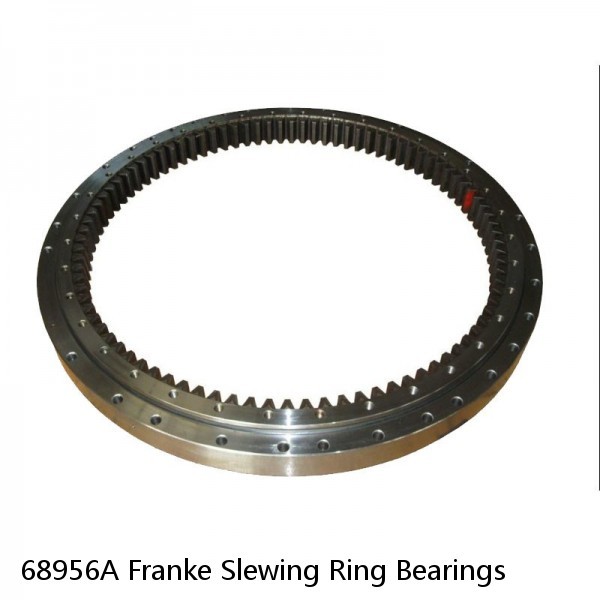 68956A Franke Slewing Ring Bearings #1 small image