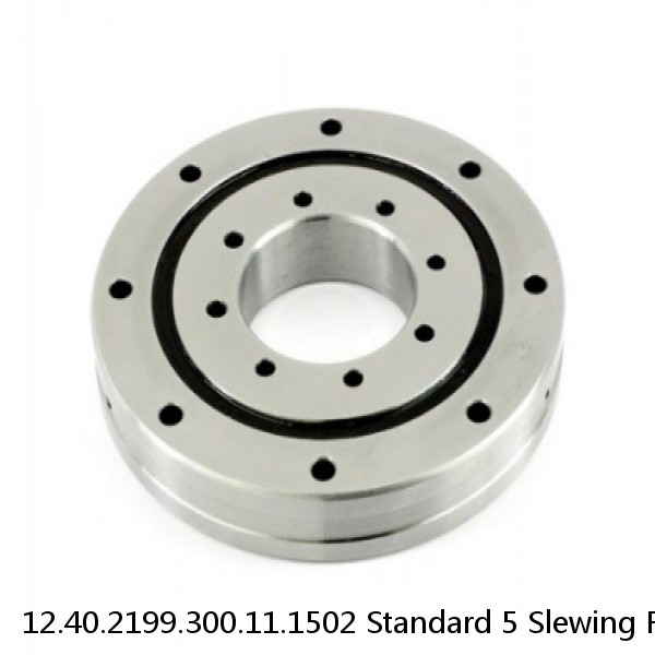 12.40.2199.300.11.1502 Standard 5 Slewing Ring Bearings #1 small image