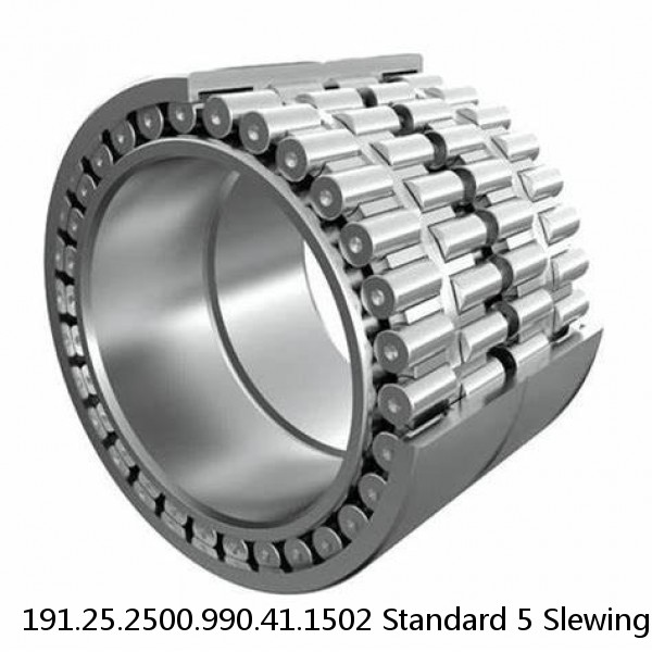 191.25.2500.990.41.1502 Standard 5 Slewing Ring Bearings #1 small image