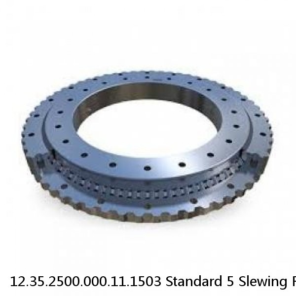 12.35.2500.000.11.1503 Standard 5 Slewing Ring Bearings