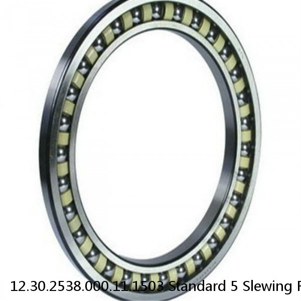 12.30.2538.000.11.1503 Standard 5 Slewing Ring Bearings