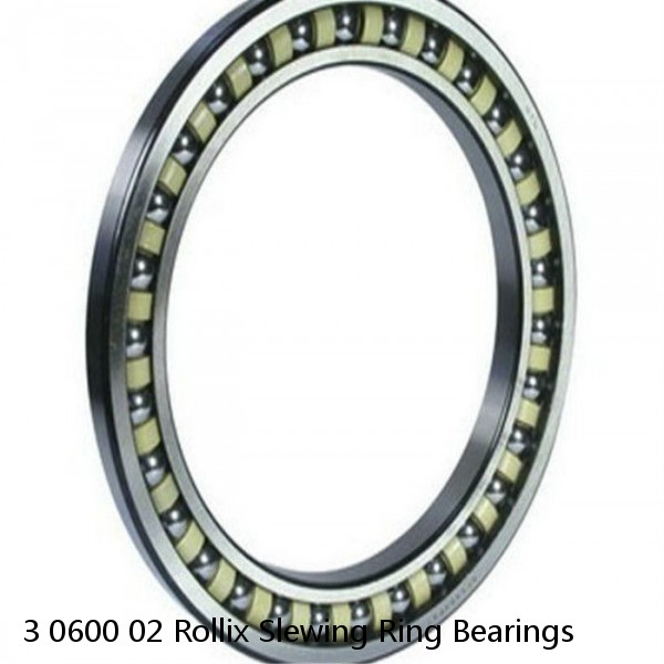 3 0600 02 Rollix Slewing Ring Bearings