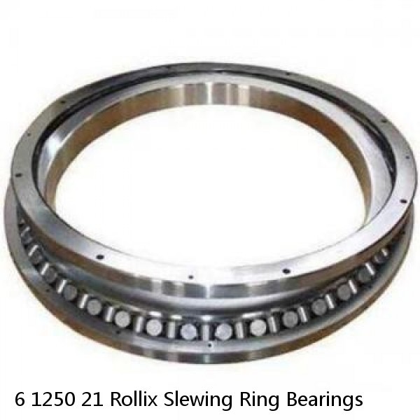 6 1250 21 Rollix Slewing Ring Bearings #1 small image