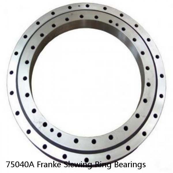 75040A Franke Slewing Ring Bearings