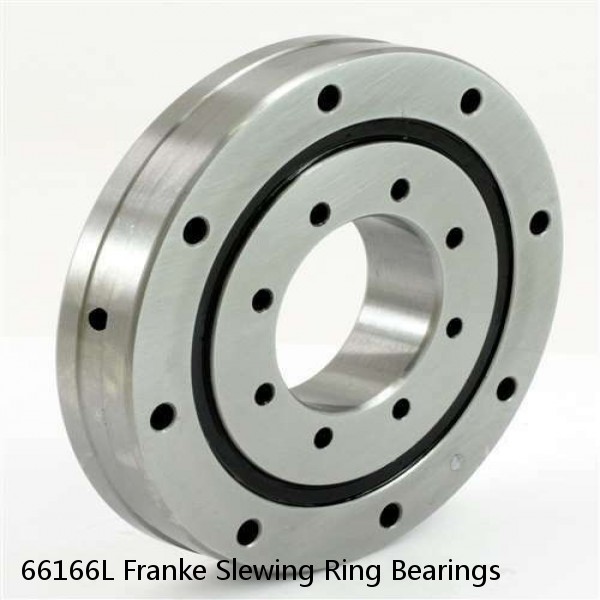 66166L Franke Slewing Ring Bearings #1 small image