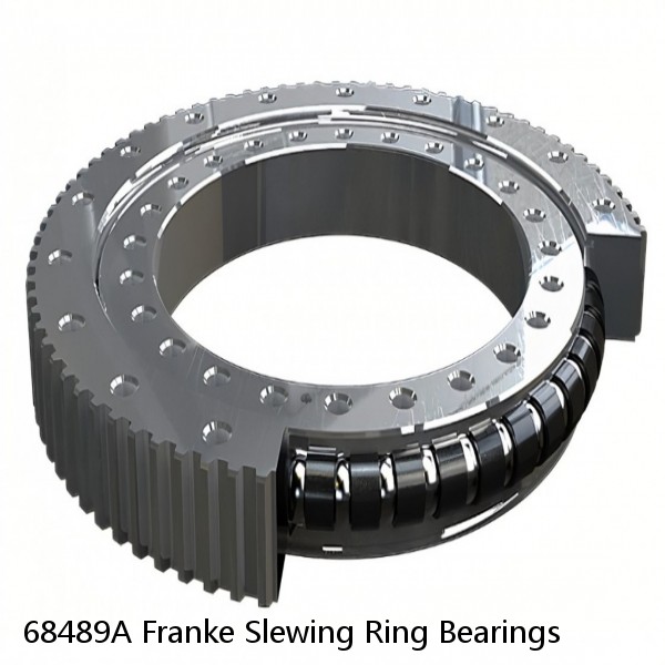 68489A Franke Slewing Ring Bearings #1 small image