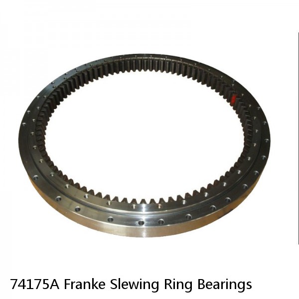 74175A Franke Slewing Ring Bearings #1 small image