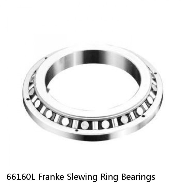 66160L Franke Slewing Ring Bearings #1 image