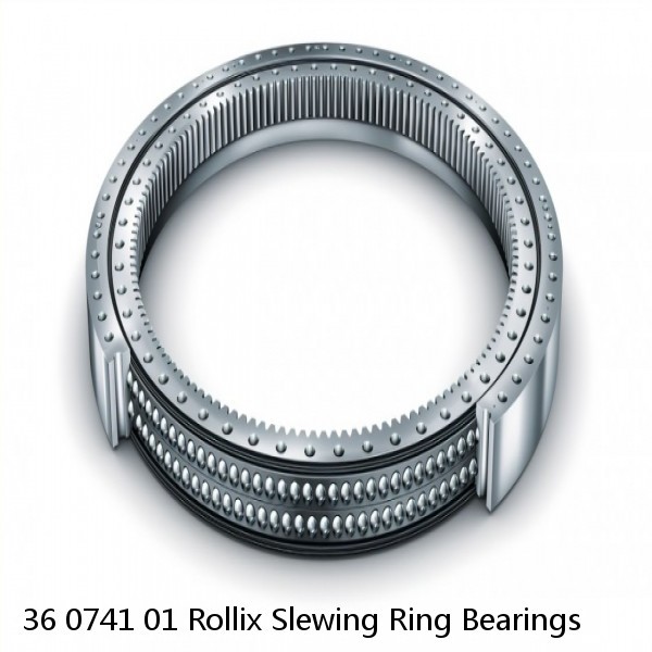 36 0741 01 Rollix Slewing Ring Bearings #1 image