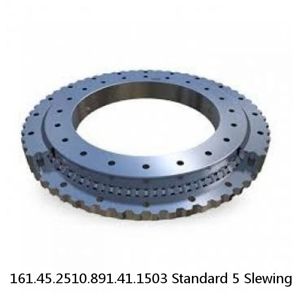 161.45.2510.891.41.1503 Standard 5 Slewing Ring Bearings #1 image