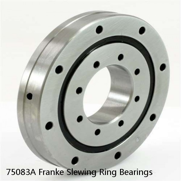 75083A Franke Slewing Ring Bearings #1 image