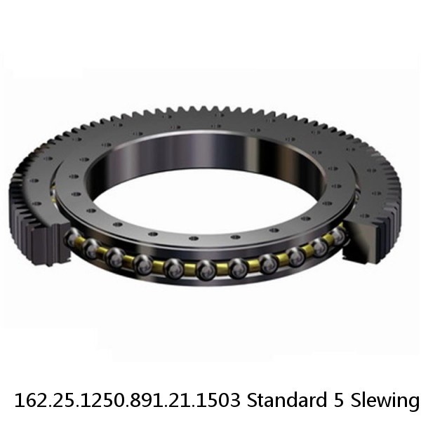 162.25.1250.891.21.1503 Standard 5 Slewing Ring Bearings #1 image