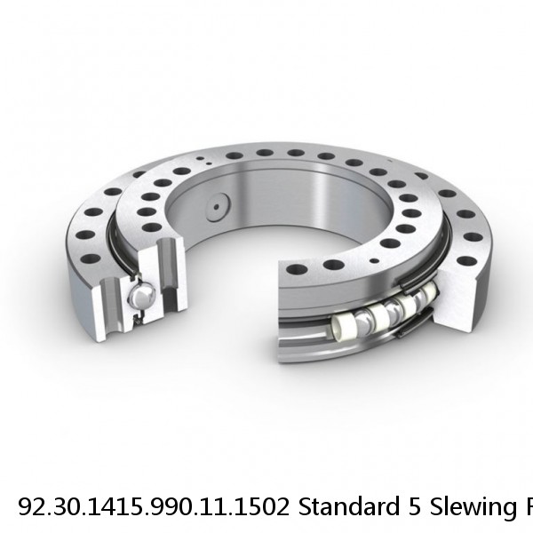 92.30.1415.990.11.1502 Standard 5 Slewing Ring Bearings #1 image