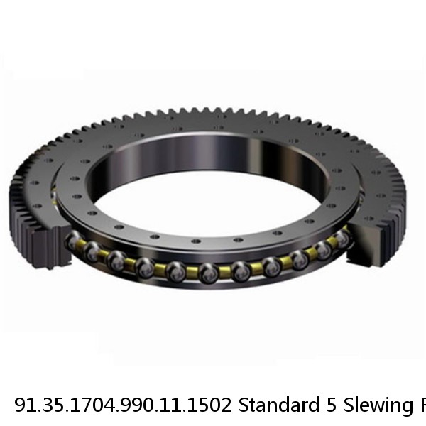 91.35.1704.990.11.1502 Standard 5 Slewing Ring Bearings #1 image