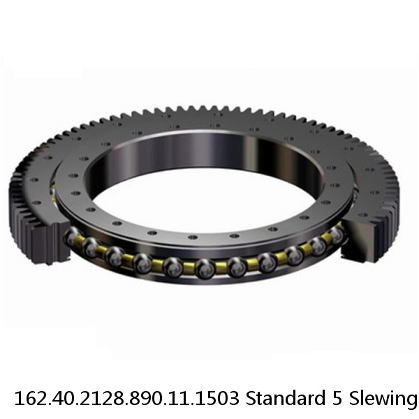 162.40.2128.890.11.1503 Standard 5 Slewing Ring Bearings #1 image