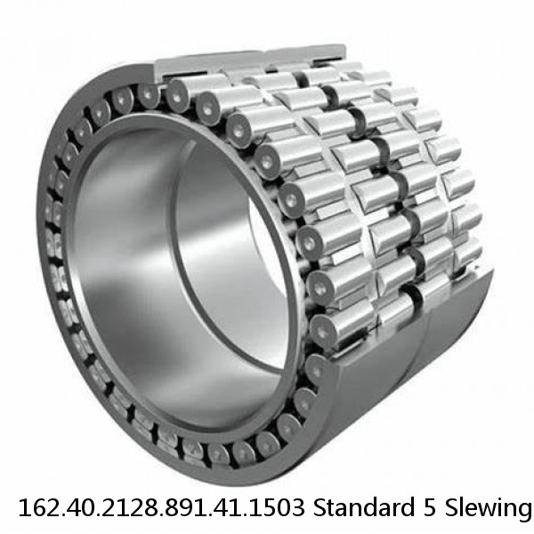 162.40.2128.891.41.1503 Standard 5 Slewing Ring Bearings #1 image