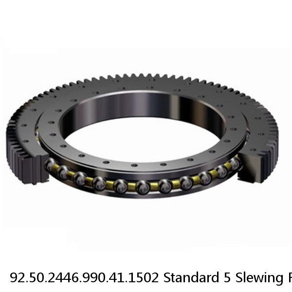 92.50.2446.990.41.1502 Standard 5 Slewing Ring Bearings #1 image