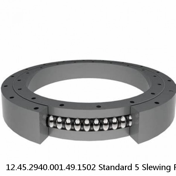 12.45.2940.001.49.1502 Standard 5 Slewing Ring Bearings #1 image