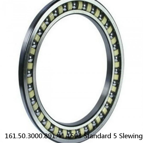 161.50.3000.891.41.1503 Standard 5 Slewing Ring Bearings #1 image