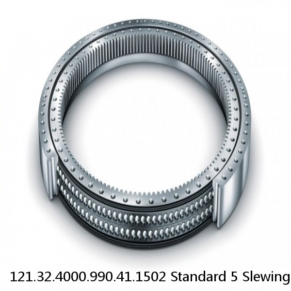 121.32.4000.990.41.1502 Standard 5 Slewing Ring Bearings #1 image