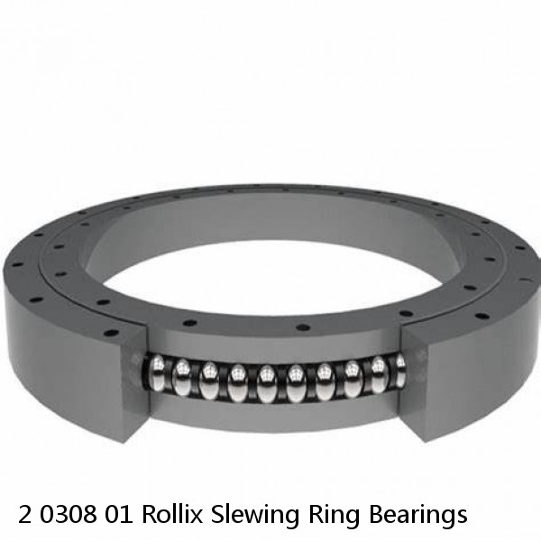 2 0308 01 Rollix Slewing Ring Bearings #1 image
