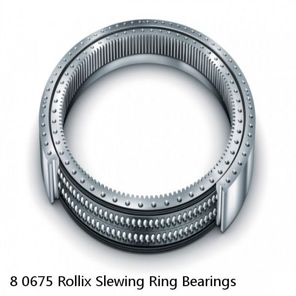 8 0675 Rollix Slewing Ring Bearings #1 image