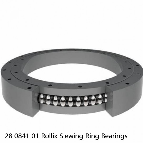 28 0841 01 Rollix Slewing Ring Bearings #1 image