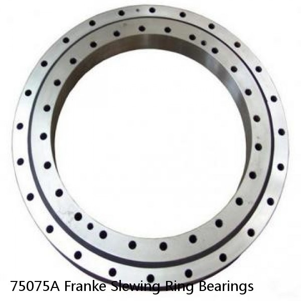 75075A Franke Slewing Ring Bearings #1 image