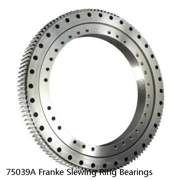 75039A Franke Slewing Ring Bearings #1 image