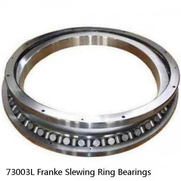 73003L Franke Slewing Ring Bearings #1 image