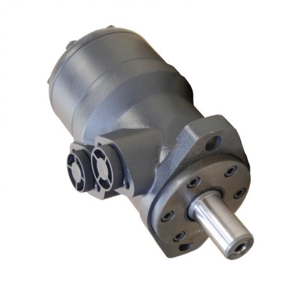 JCB 333/X9312 Reman Hydraulic Final Drive Motor #1 image