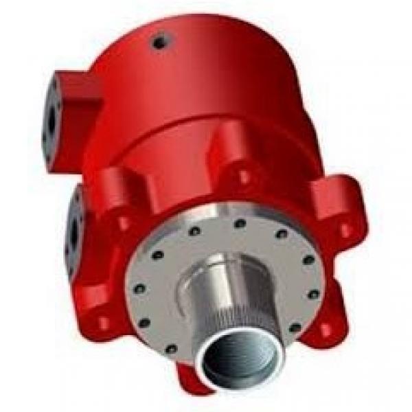 JCB 8018 Hydraulic Final Drive Motor #1 image